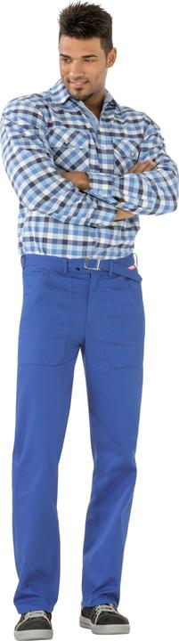 Blu fiordaliso