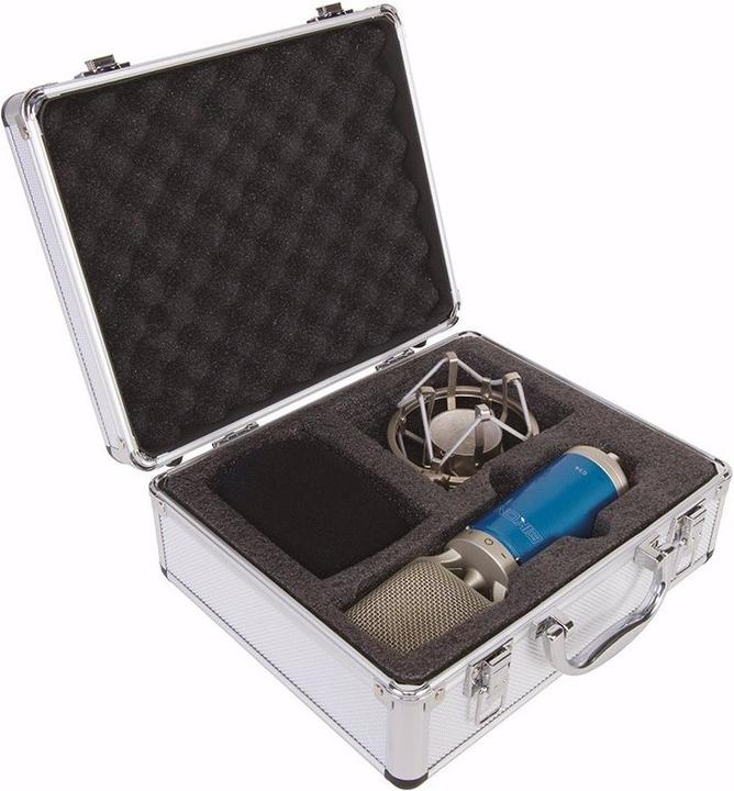 Actual product image Eikon Large diaphragm studio