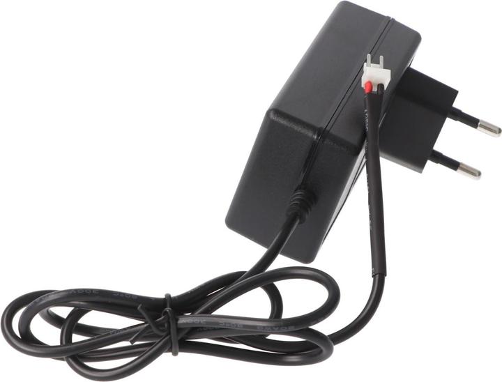 Immagine prodotto AccuCell Caricatore per batteria Roto ZEL 12 Volt RT2 SF G2