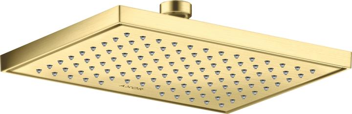 Brushed Brass