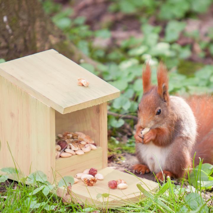 Produktbild Relaxdays Eichhörnchen Futterhaus