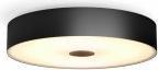 Actual product image Philips Hue Fair Basis BT (3000 lm)