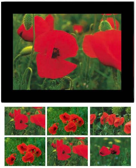 Immagine prodotto Baback Haschemi Carta doppia-Böxli 818 MOHNBLUMEN (1 pz.)