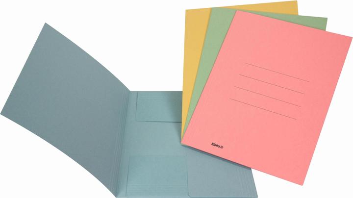 Actual product image Biella File collector jury folder (A4, 1 x)