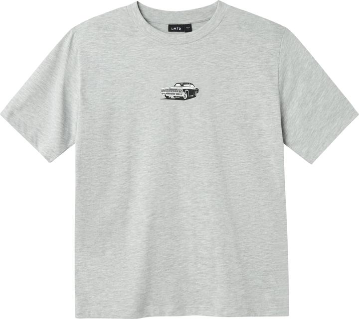 Lmtd Regular Fit T-Shirt (170)