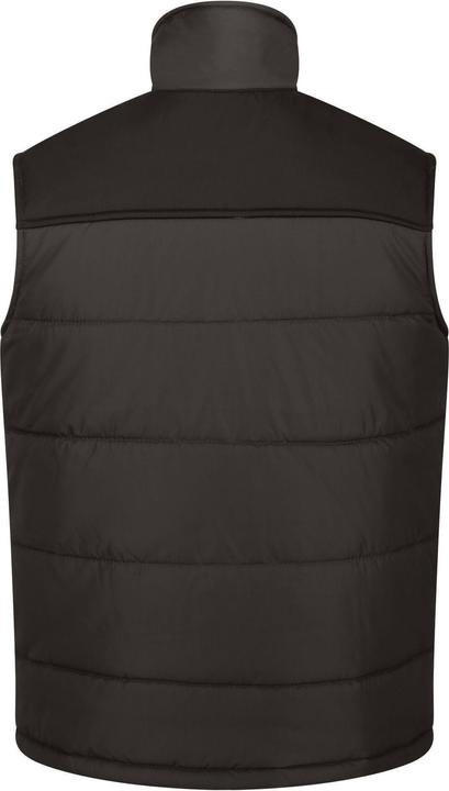 Immagine prodotto Regatta Gilet Standout Altoona isolato (XXL)
