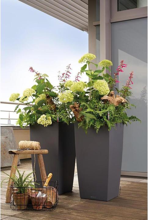 Actual product image Lechuza Cubico Color (29.50 cm)