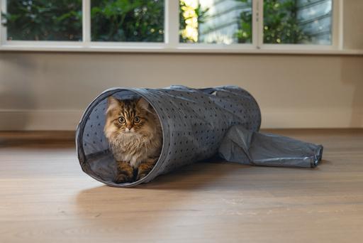 Actual product image Beeztees Katzentunnel Ivy