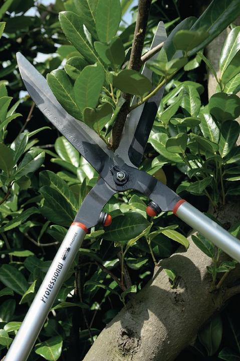 Image du produit Bahco Taille-haie P51H-SL 73cm/15mm (Taille-haie)