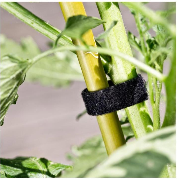 Immagine prodotto Windhager Fascetta universale in velcro (500 cm, 1.20 cm)