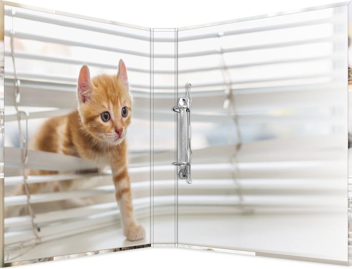 Actual product image HERMA Cats (A4, 35 mm, 1 Piece)