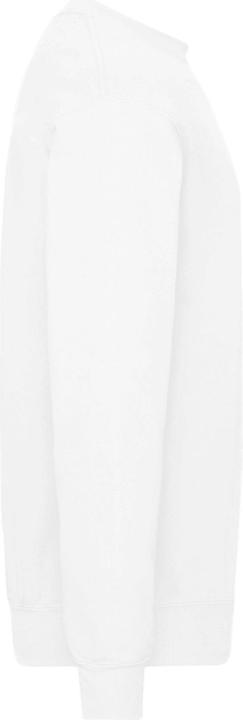 Actual product image Fruit of the Loom Mens Classic 80/20 Set-in Sweatshirt (L)