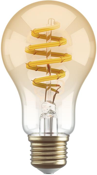 Image du produit Hombli Ampoule à filament CCT E27 A60 (E27, 5.50 W, 300 lm, 1 x, G)