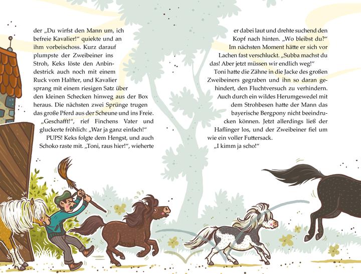 Produktbild Die Haferhorde - Mit allen Ponywassern gewaschen (Deutsch, Nina Dulleck, Suza Kolb, 2022)