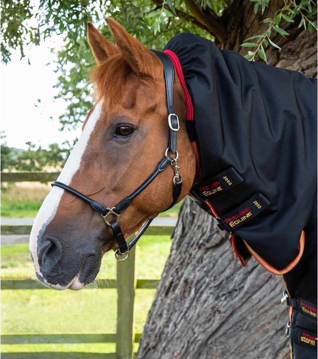 Produktbild Premier Equine outdoor-decke mit halsteil titan storm 450 g (152 cm)
