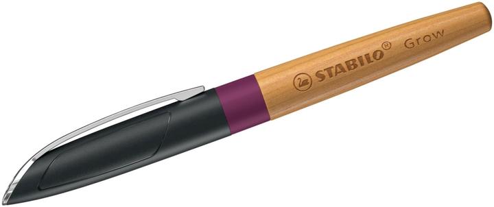 Immagine prodotto STABILO Penna stilografica Crescere (Prugna, Ciliegio, 1 x)