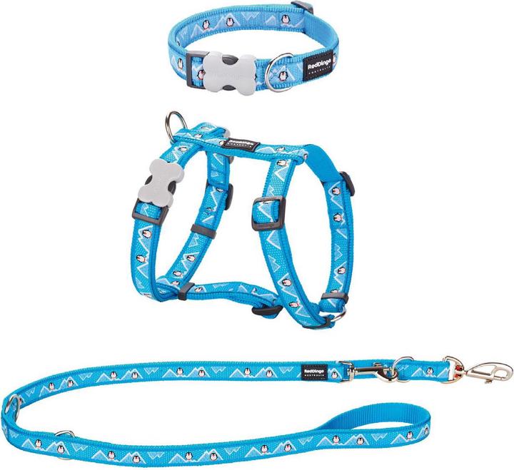 Actual product image Red Dingo Puppy Kit (XS, Dog, Dog sport)
