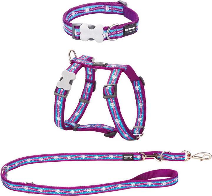 Produktbild Red Dingo Puppy Kit (XS, Hund, Hundesport)