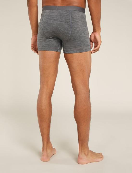 Produktbild Icebreaker Merino 125 Cool-Lite Anatomica Boxers (XL)