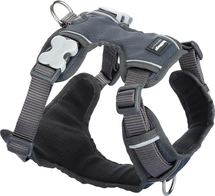 Actual product image Red Dingo Cool Grey (XS, Dog, General)