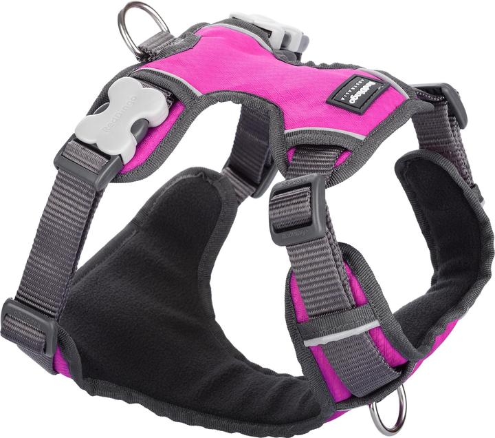 Actual product image Red Dingo Padded Harness (M, Dog, Dog sport)