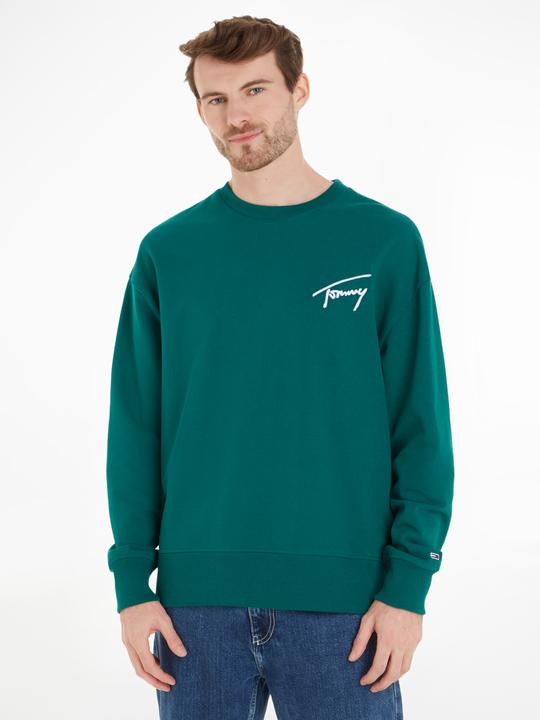 Image du produit Tommy Hilfiger Tommy Jeans Signature Sweater - 97575 (M)