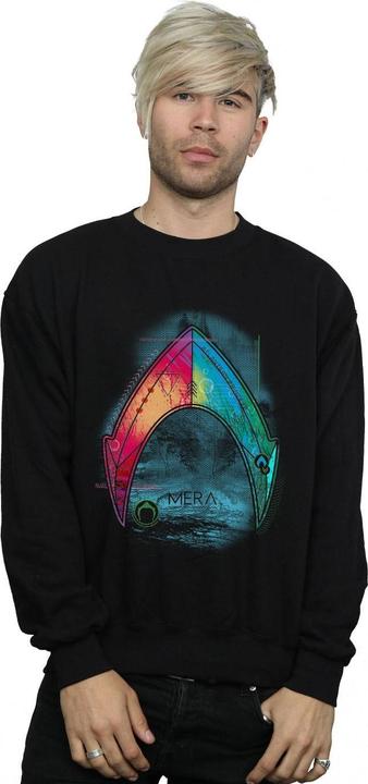 Produktbild Aquaman Mera Logo Sweatshirt (L)