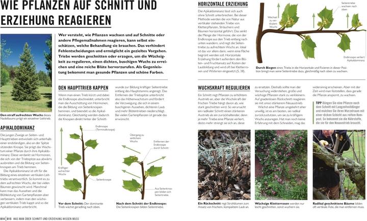 Produktbild Grünes Gartenwissen. Pflanzen richtig schneiden (Deutsch, Stephanie Mahon, Reinhard Ferstl, DK Verlag, 2022)