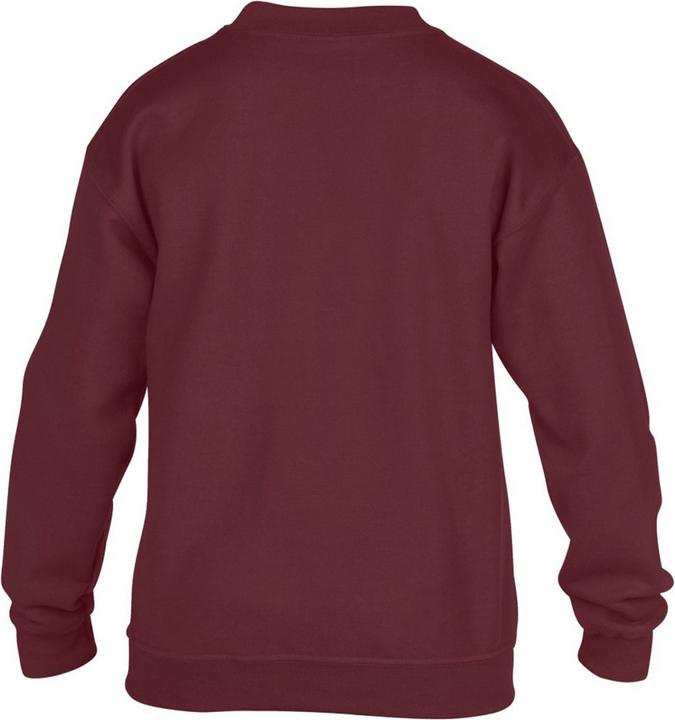 Image du produit Gildan Sweat-shirt à col rond (XS)