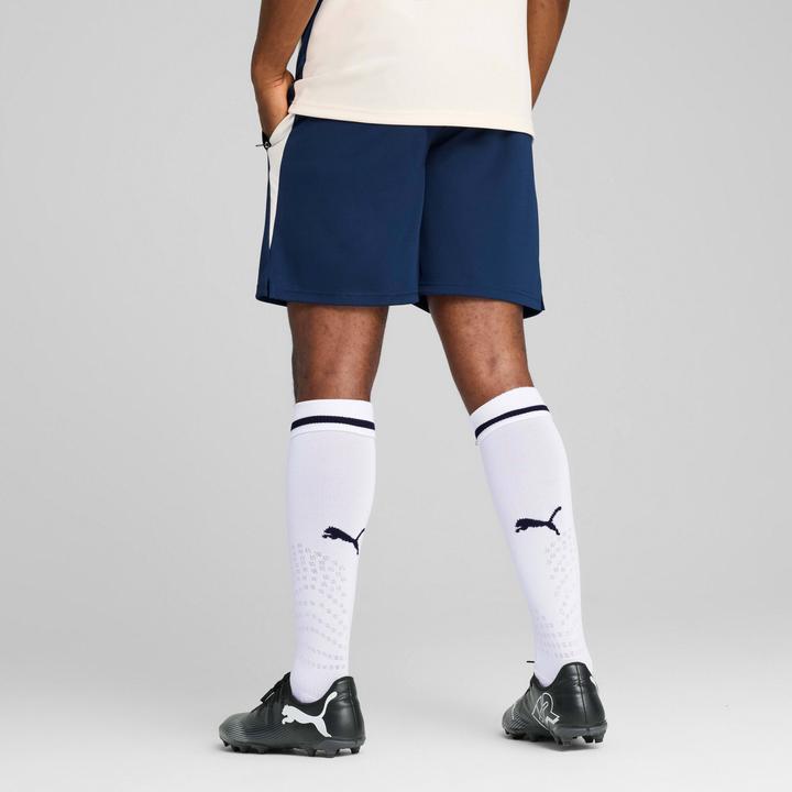 Image du produit Puma Short d'entraînement FPF (M)
