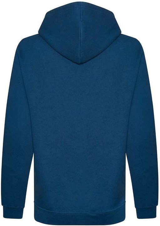 Image du produit Awdis Sweat à capuche issu de l'agriculture biologique (M)