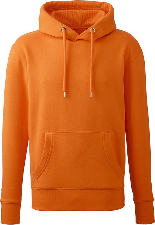 Anthem Kapuzenpullover aus biologischem Anbau