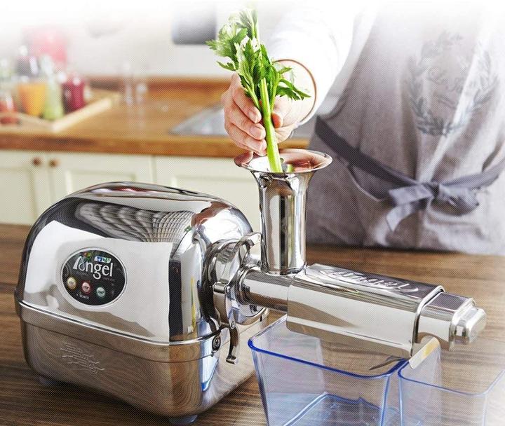 Image du produit Angel Juicers Ange 5500