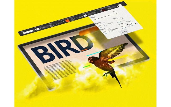 Produktbild Corel PaintShop Pro 2023 (Key) (1 User, 1 Geräte/User, unbegrenzt)