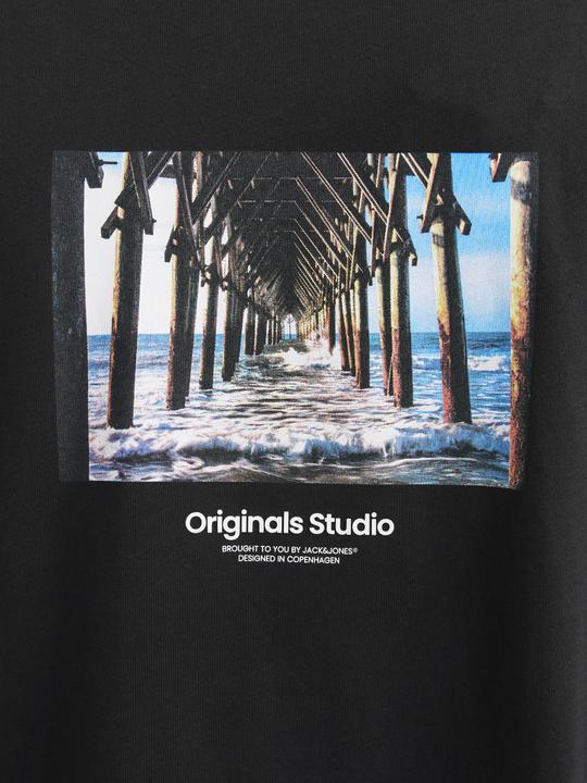 Actual product image Jack & Jones Jorvesterbro Picture Tee Ss Crew Neck Sn (L)