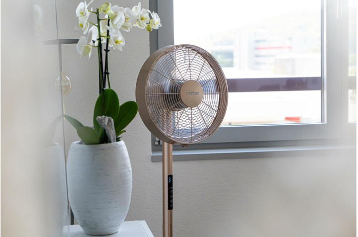 Produktbild Rotel Oszillierender Standventilator rosé Ø 40 cm