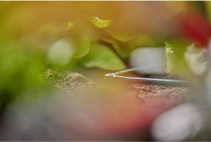 Immagine prodotto Gardena Sistema a microgoccia a L (Connettore per irrigazione a goccia + diramazione)