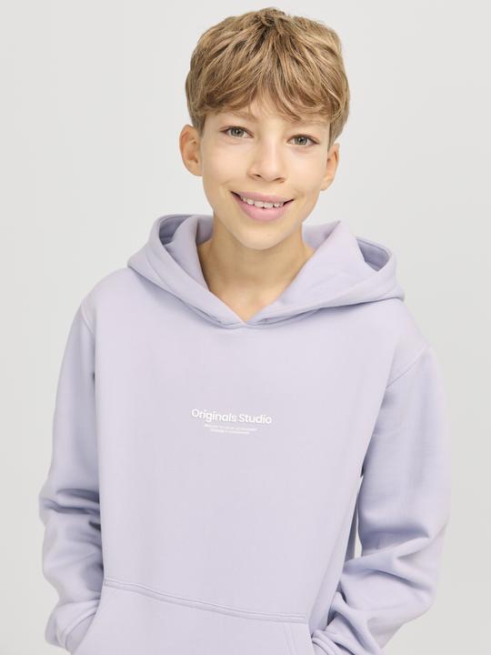 Immagine prodotto Jack & Jones Jorvesterbro Sweat Hood Noos Jnr (176)