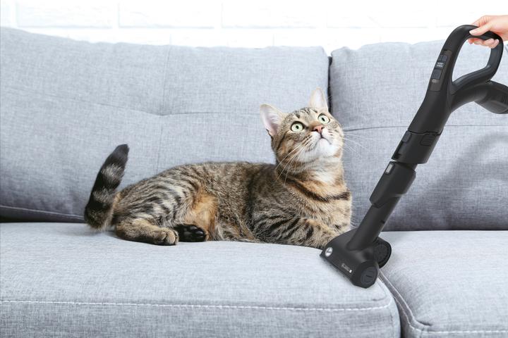 Actual product image Hoover HP730ALG 011