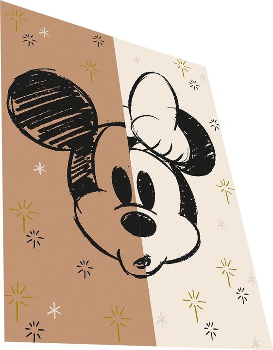 Image du produit Disney - Impression sur toile HALF/HALF (80 x 60 cm)
