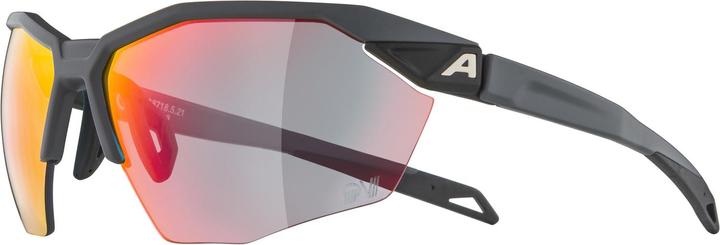 Image du produit ALPINA SPORTS Twist Six HR QV (Gris Mat, Rainbow)