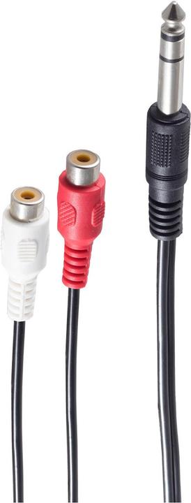 Image du produit Shiverpeaks BS30461 Câble audio 0,2 m 6.35mm 2 x RCA Noir (0.20 m)