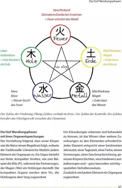 Produktbild Akupunktur beim Pferd (Deutsch, Ina Gösmeier, 2022)