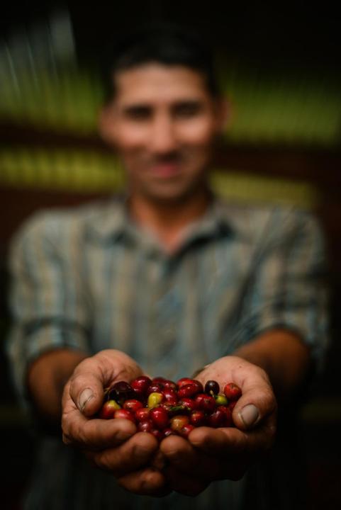 Actual product image Café Royal Espresso (500 g, Dark roast)