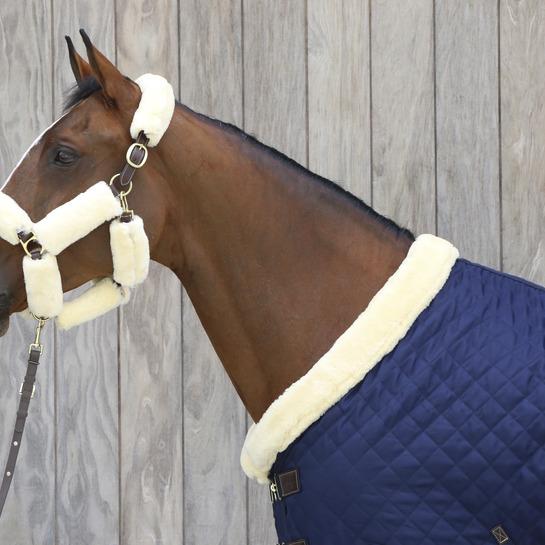 Produktbild Kentucky Horsewear Vorführstrick 2m Biothane Beta