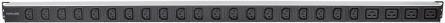 Actual product image Intellinet Power socket C13+C19 PDU vert. Mounting