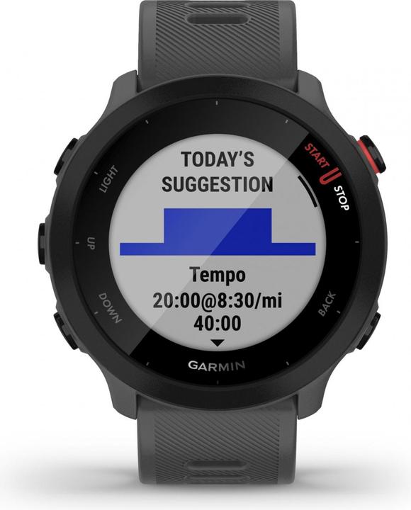Actual product image Garmin Forerunner 55 (42 mm)