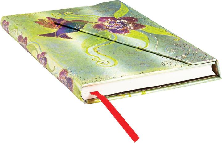 Actual product image Paperblanks hummingbird (Special, Lined, Hardcover)