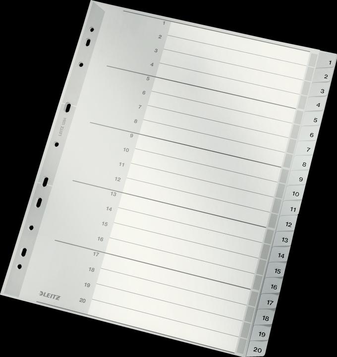 Actual product image Leitz Register