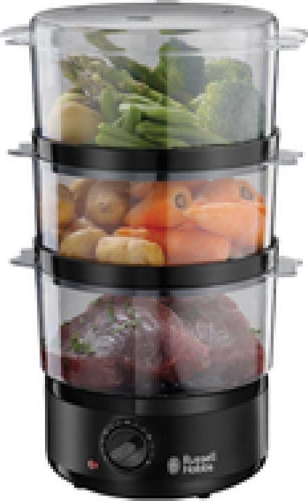 Actual product image Russell Hobbs 26530-56 Compact Steamer